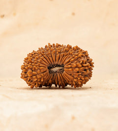27 Mukhi