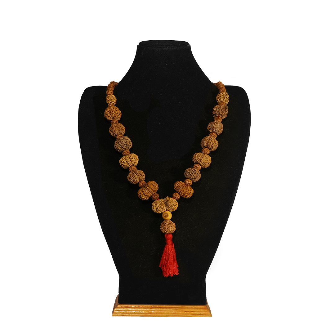 One Mukhi Round (Under-Developed) / Medium ($2400) / On Red Thread