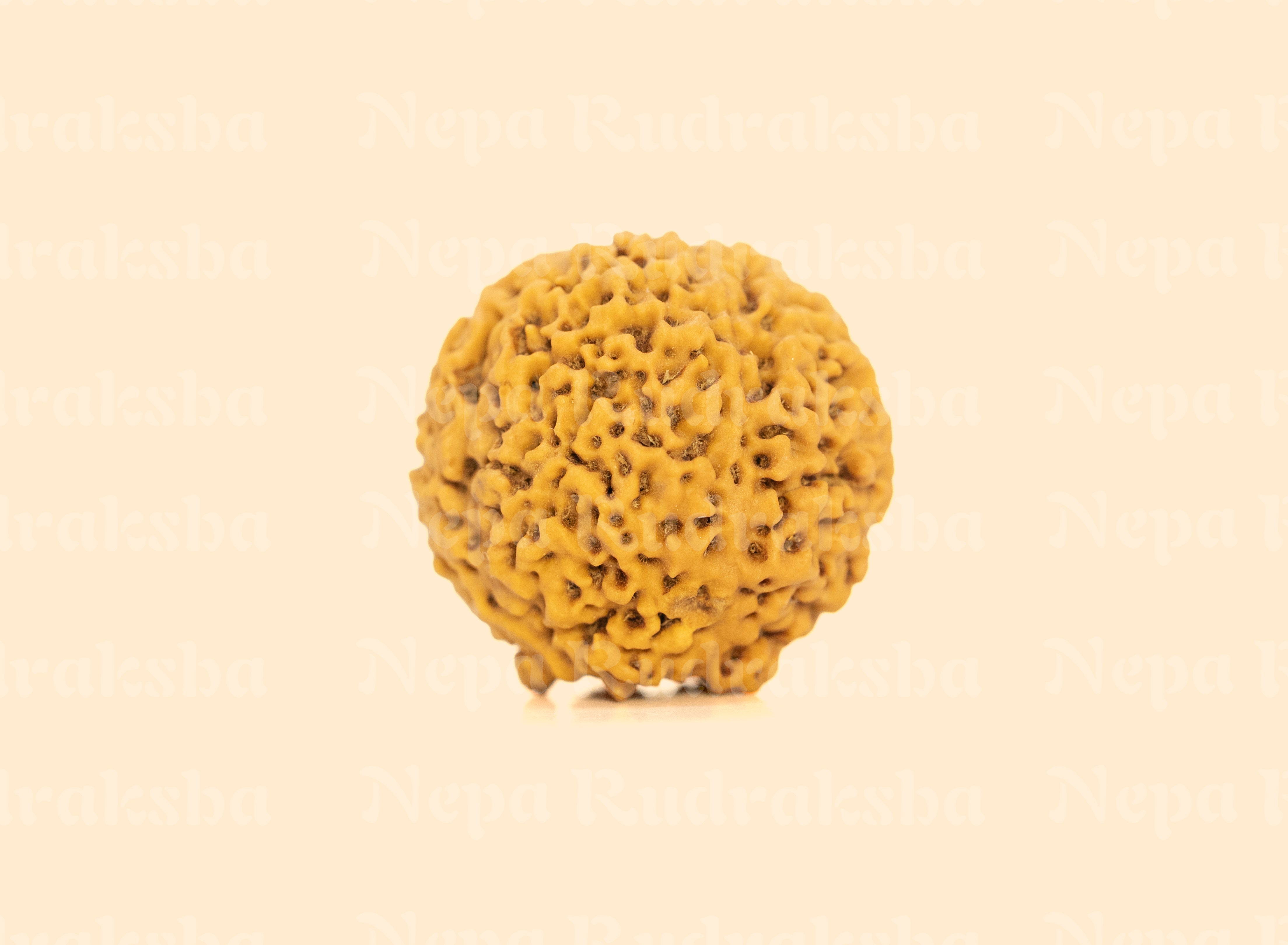 Nirakar (0 Mukhi) Round