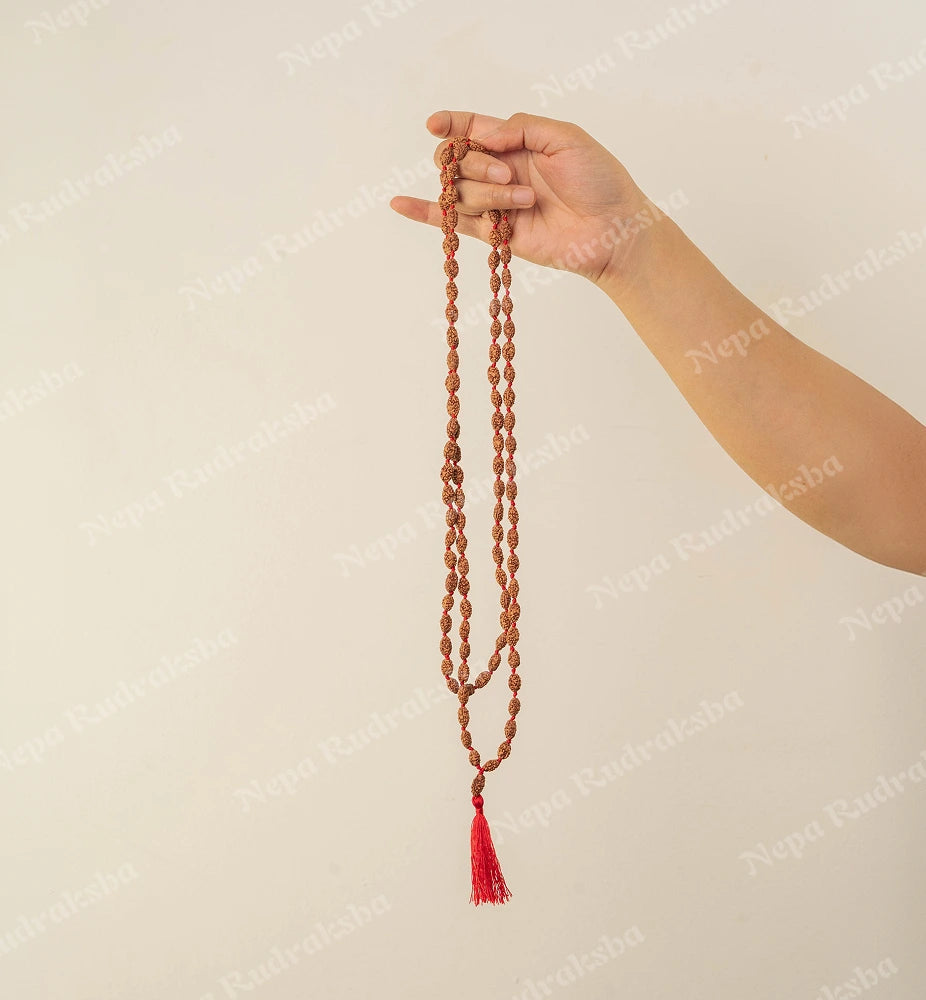 2 Mukhi Japa Mala (Indonesian)