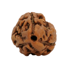 3 mukhi