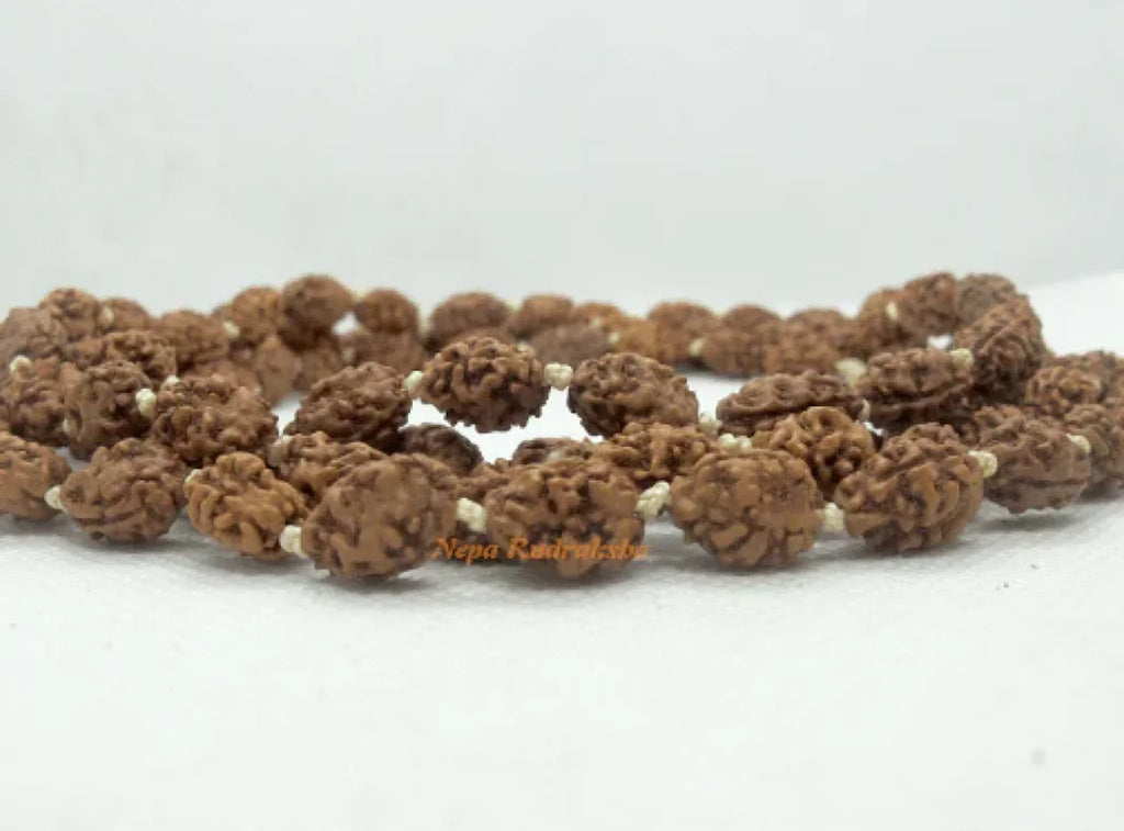 3 Mukhi Japa Mala