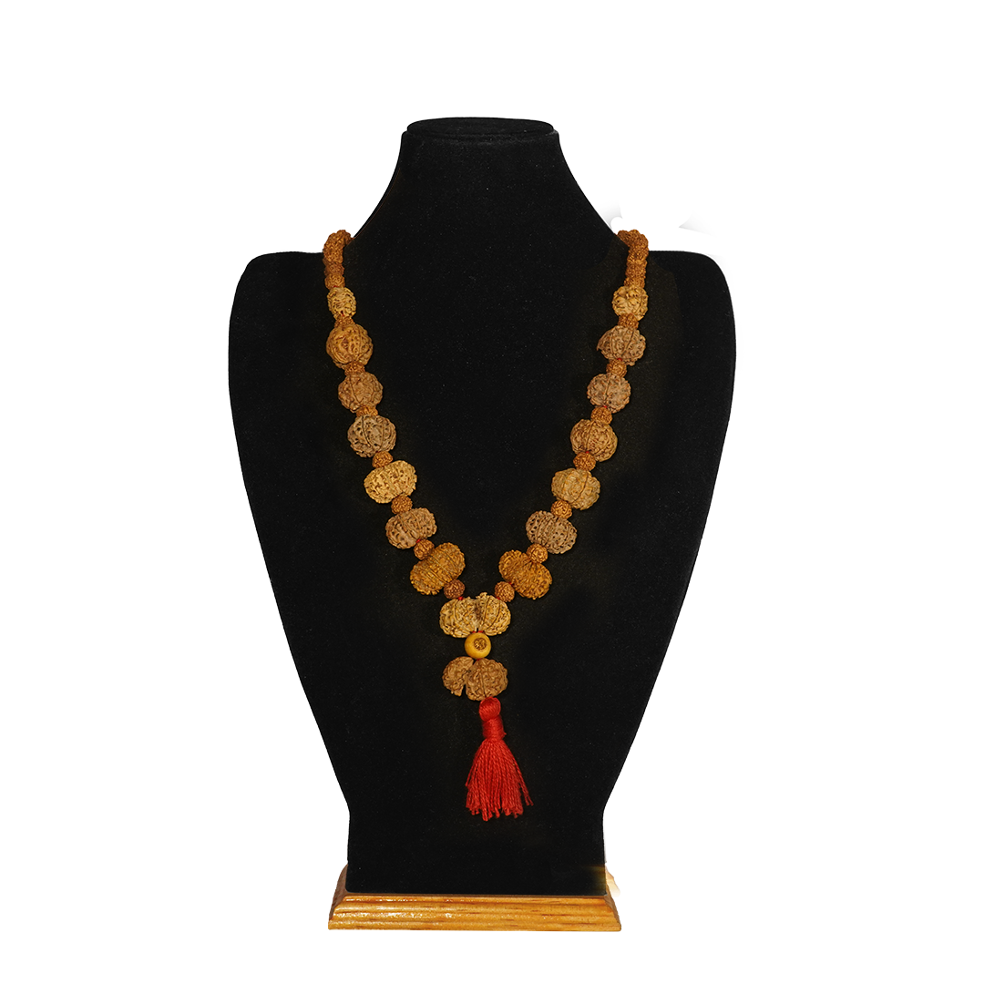 One Mukhi Savar / Regular ($1800) / On Red Thread