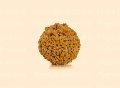 Nirakar (0 Mukhi) Round