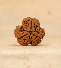 3 Mukhi