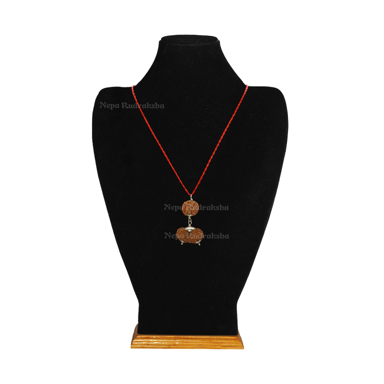 Capricorn (Makara) Combination