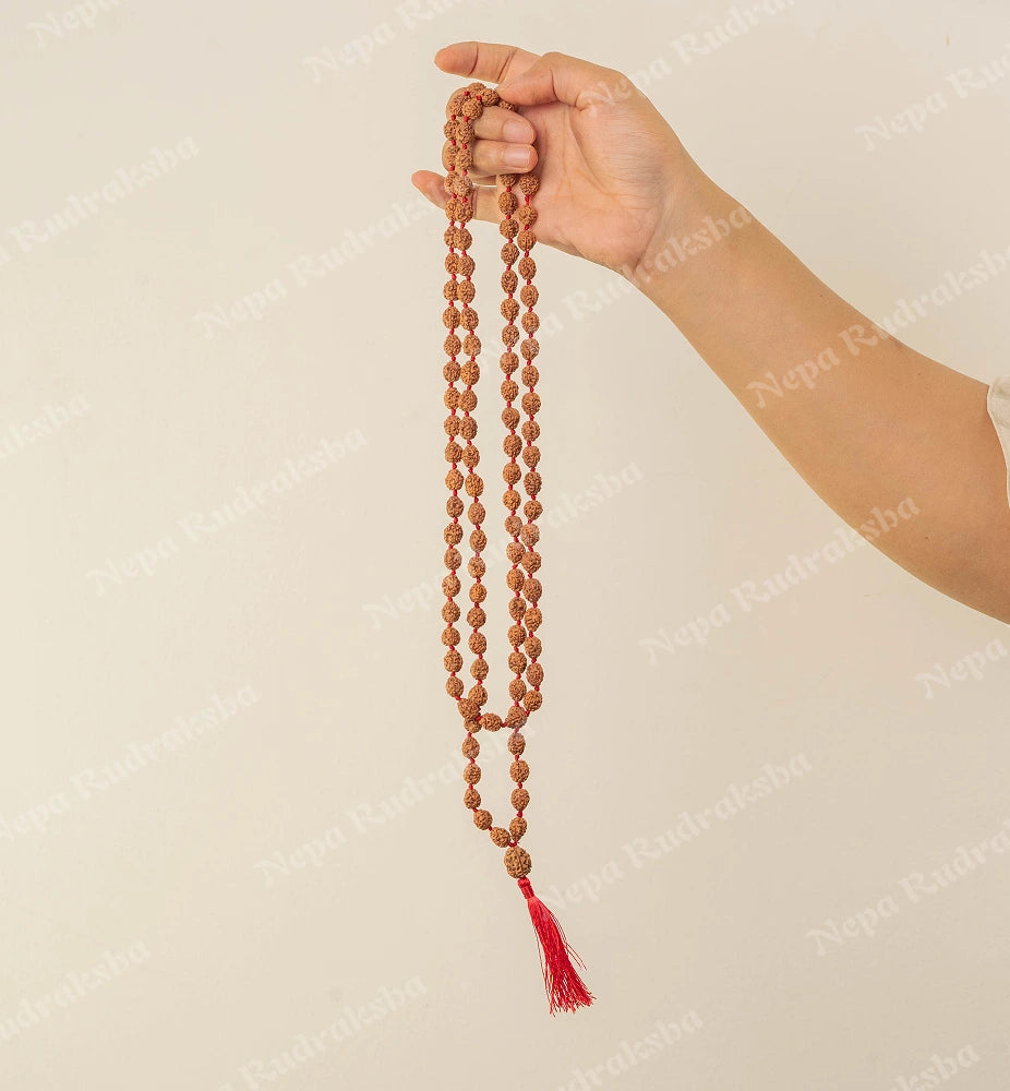 3 Mukhi Japa Mala (Indonesian)