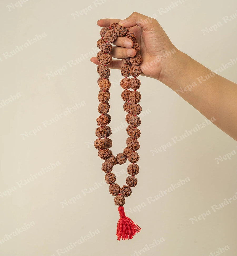 3 Mukhi Nepali Mala Beads