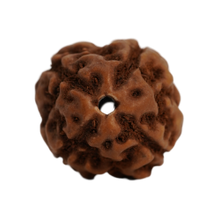 4 mukhi