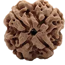 4 mukhi