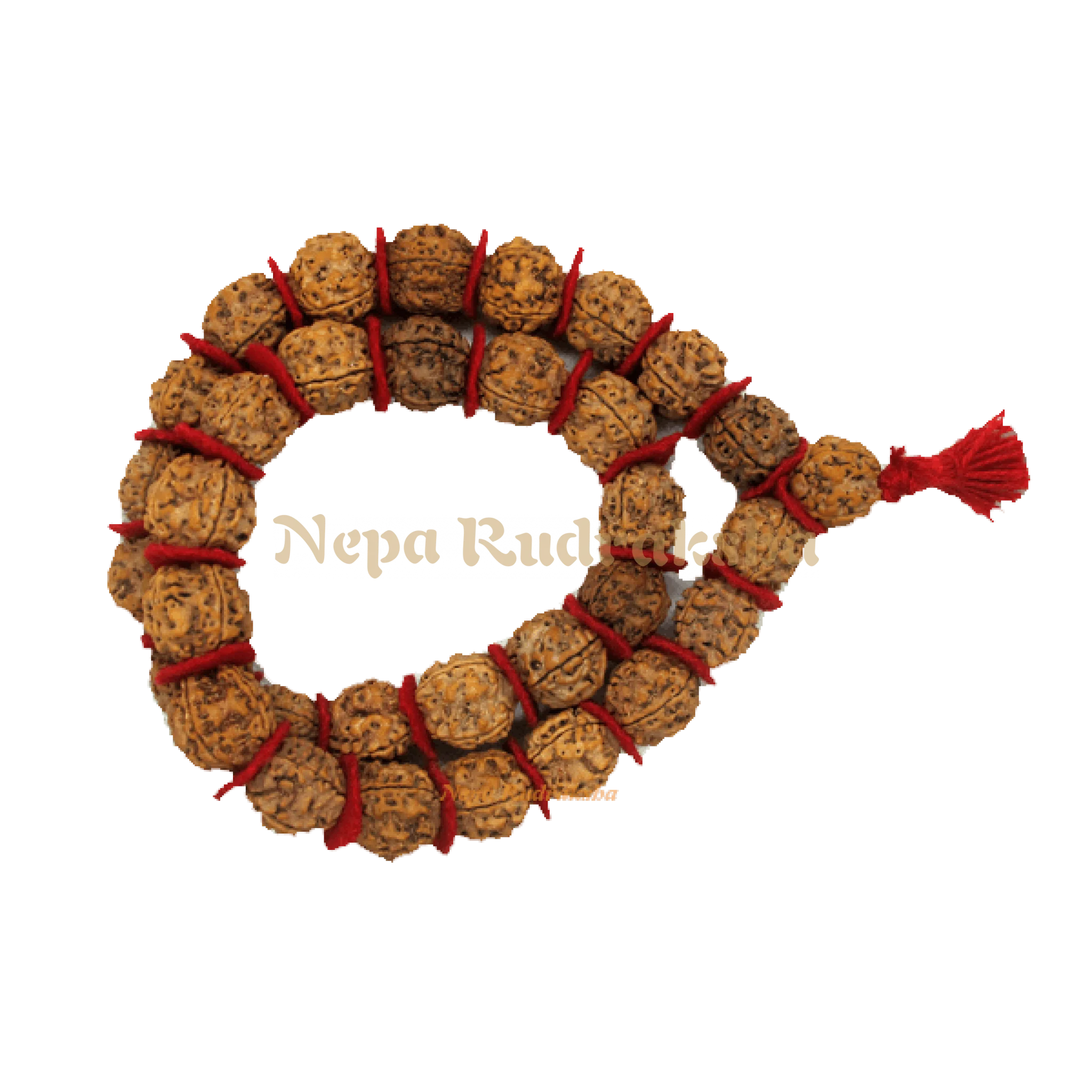 4 Mukhi Kantha Mala