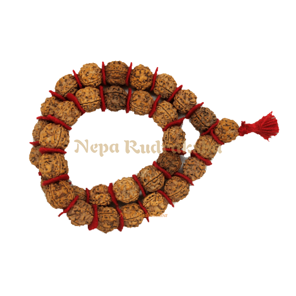 4 Mukhi Kantha Mala