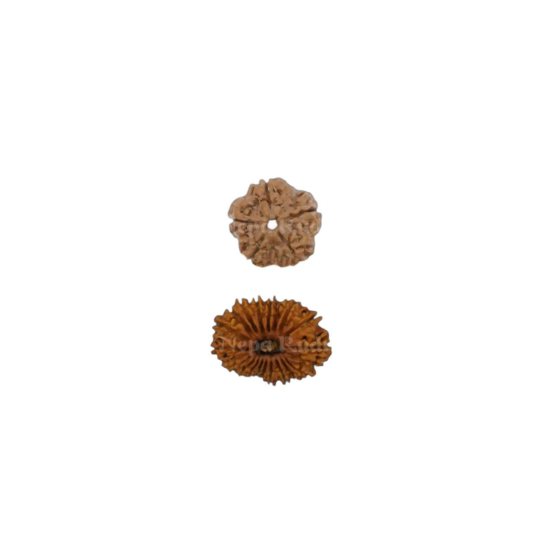 Jupiter (Guru) Combination