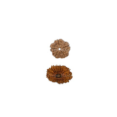 Jupiter (Guru) Combination