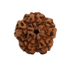 5 mukhi