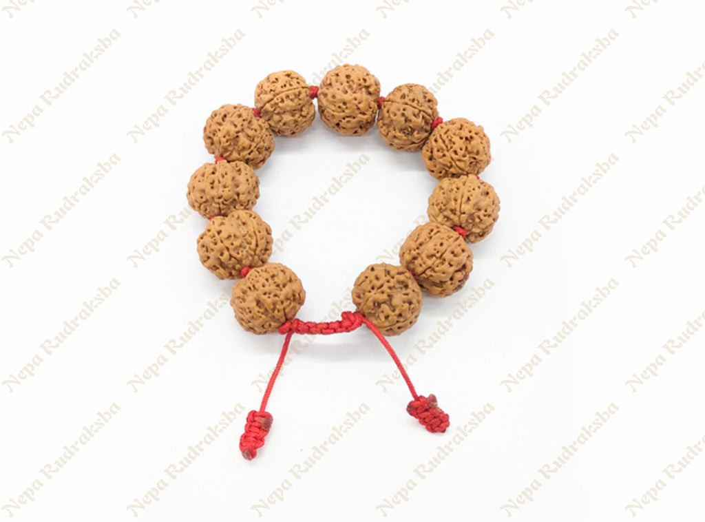 5 Mukhi Bracelet