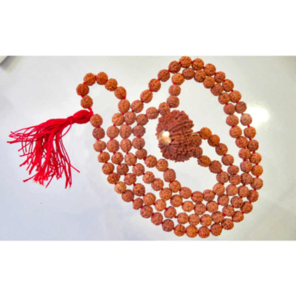 5 Mukhi Brihaspati Mala (14 Mukhi Guru Bead)