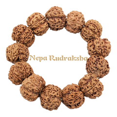5 Mukhi Collector Bracelet