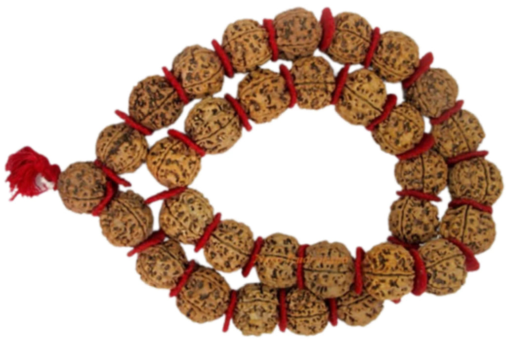 Nepali Five Mukhi Kantha Mala - Nepa Rudraksha 