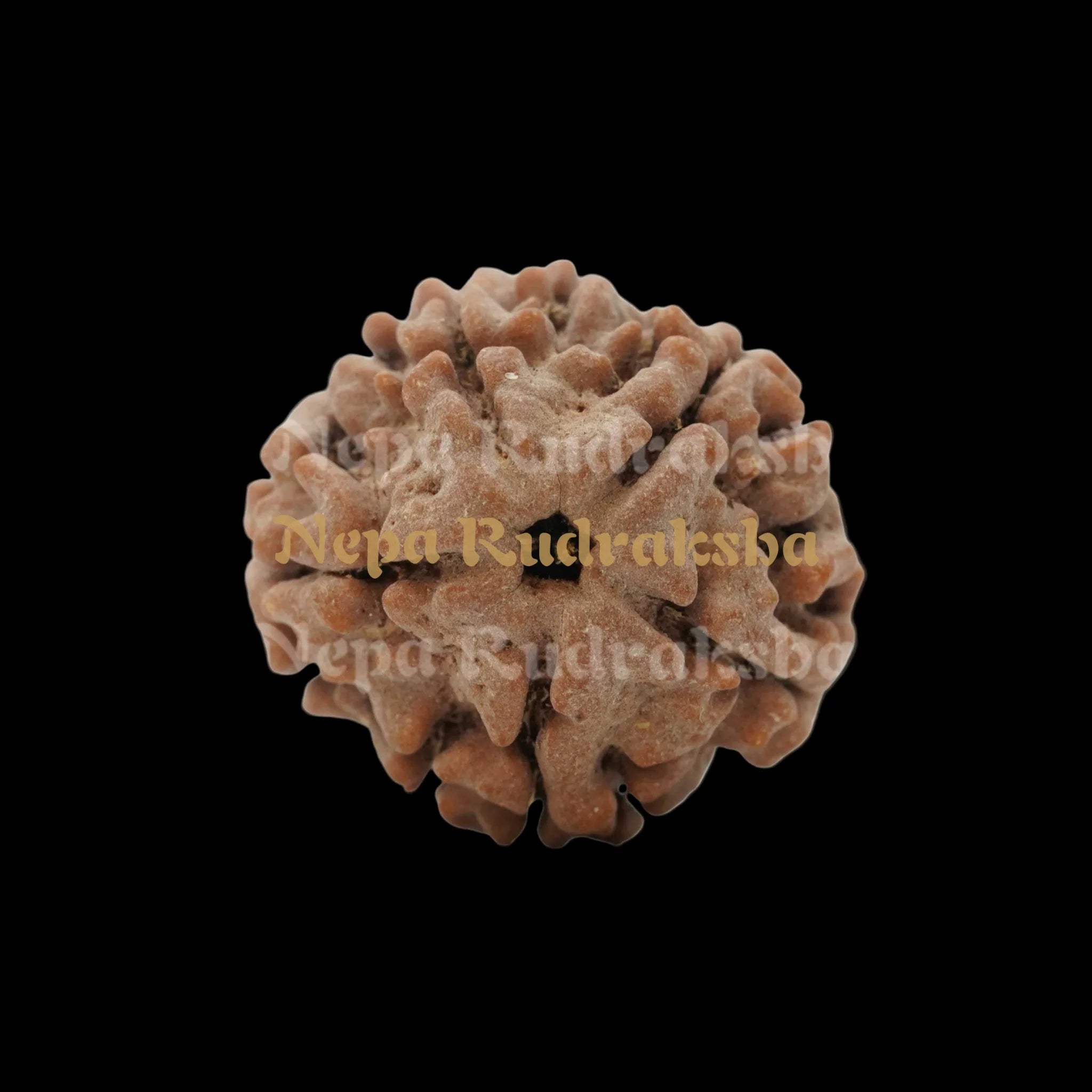 Medium (21 - 23mm) / Free Touch Energization / Loose Bead