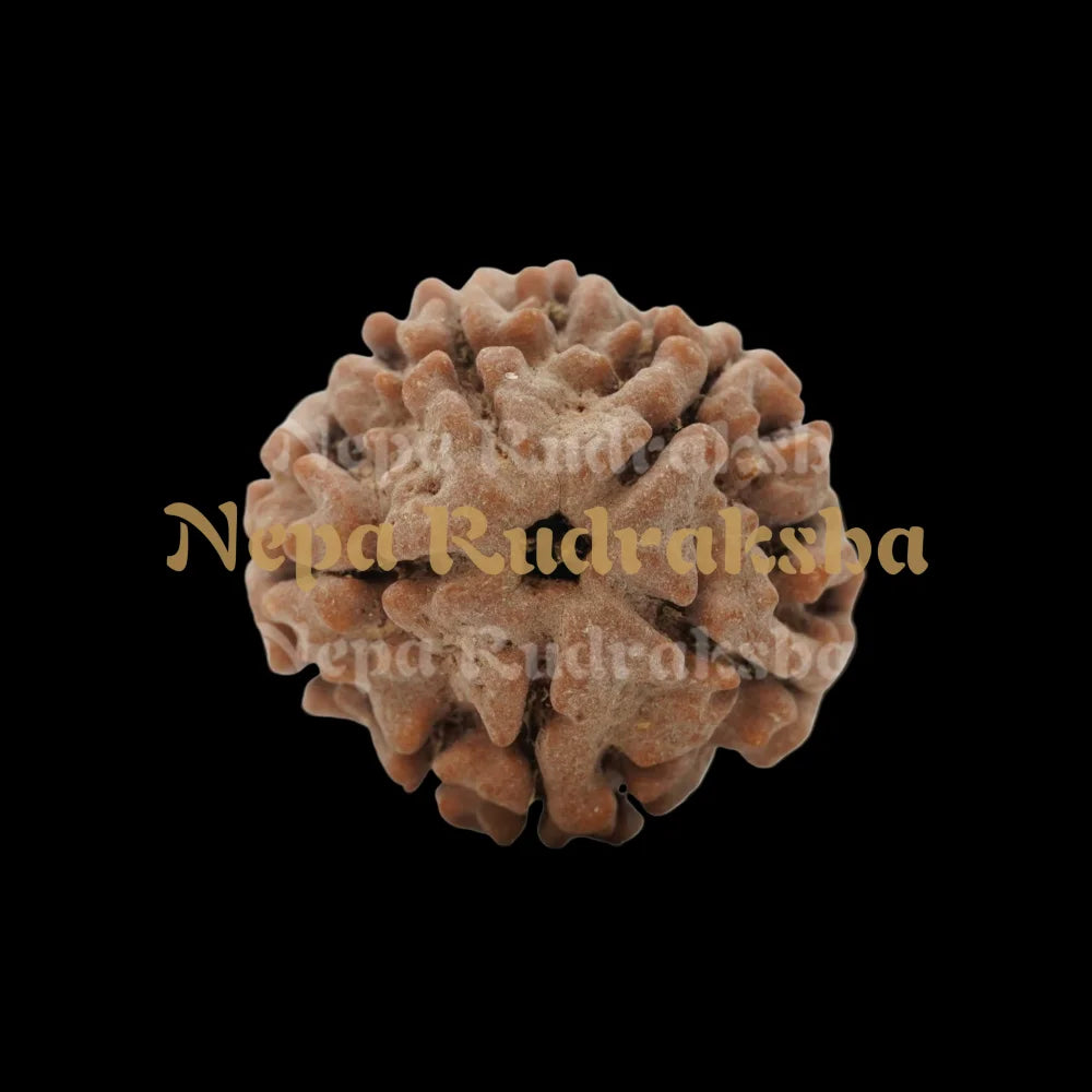 Medium (21 - 23mm) / Free Touch Energization / Loose Bead