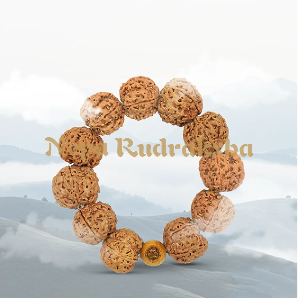 5 Mukhi Rudra Bracelet