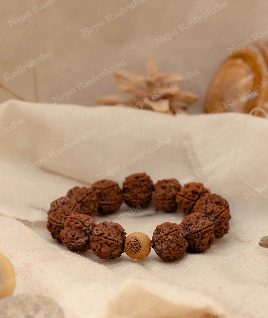 Rudra Bracelet & Transform Your Life with Rudraksha Book
