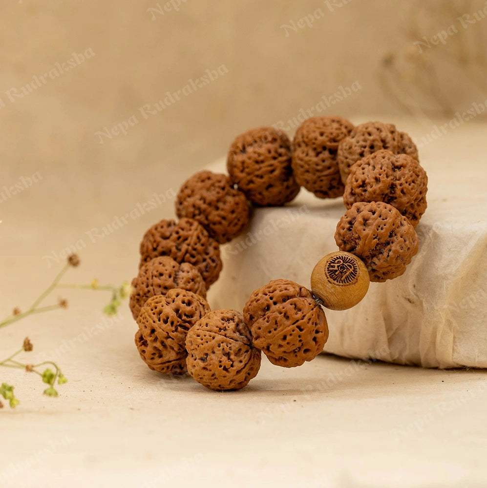 5 Mukhi Rudra Bracelet