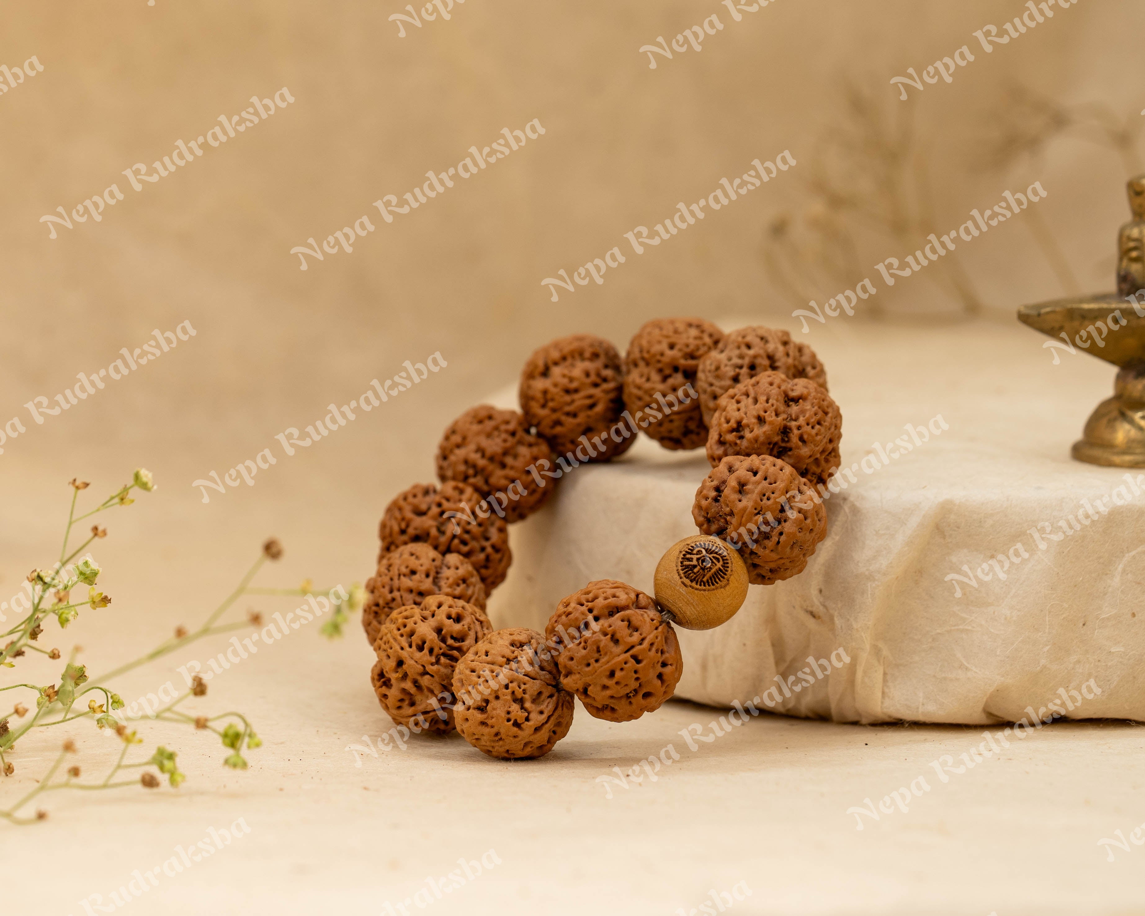 5 Mukhi Rudra Bracelet