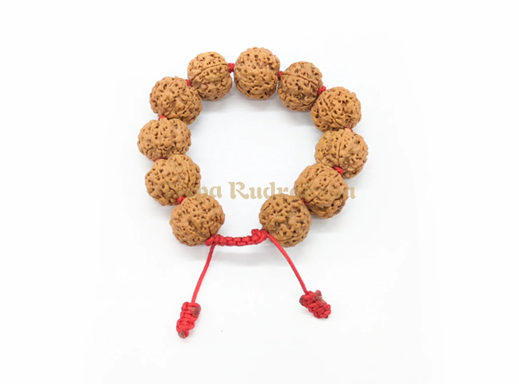 6 Mukhi Bracelet