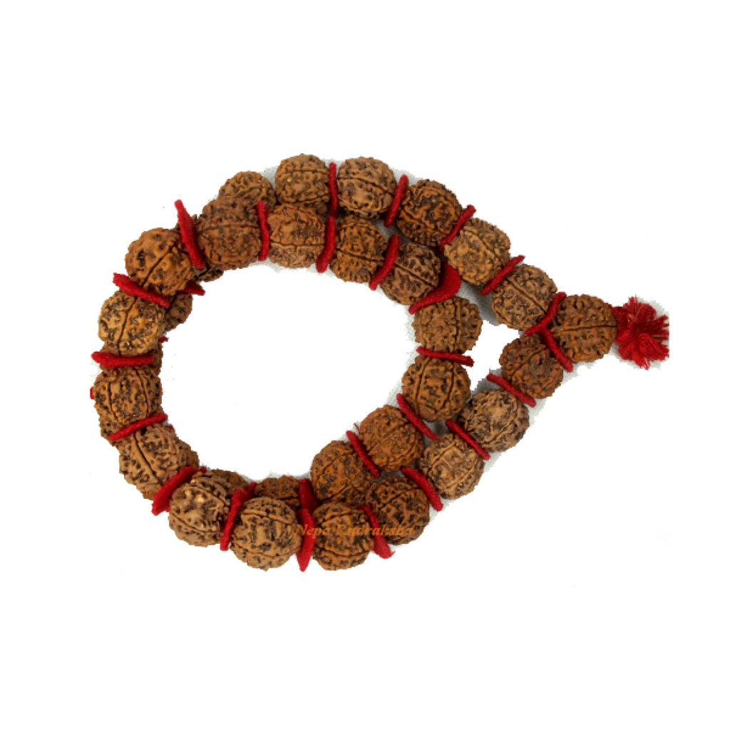 6 Mukhi Kantha Mala