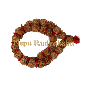 Regular