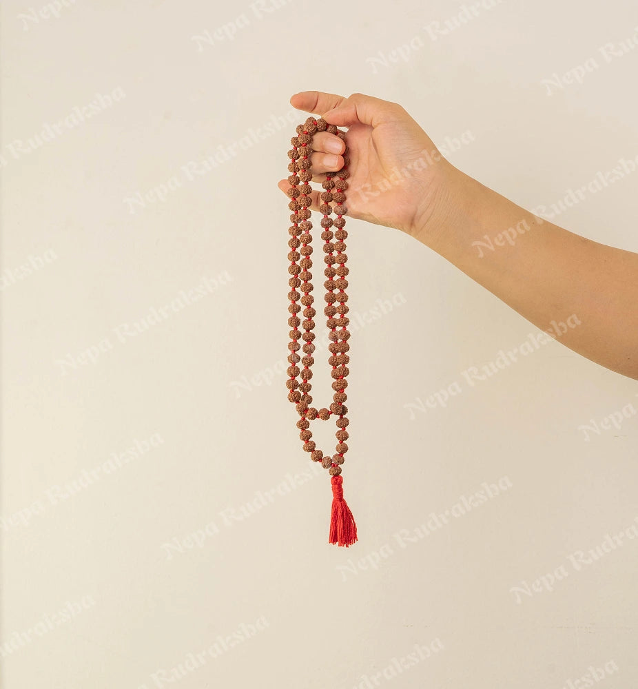 6 Mukhi Japa Mala (Indonesian)