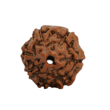 7 mukhi