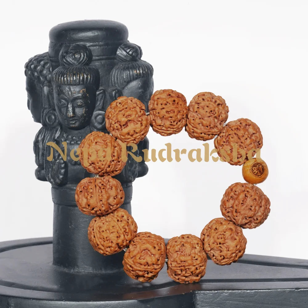 rudra-bracelet-on-shiva-linga