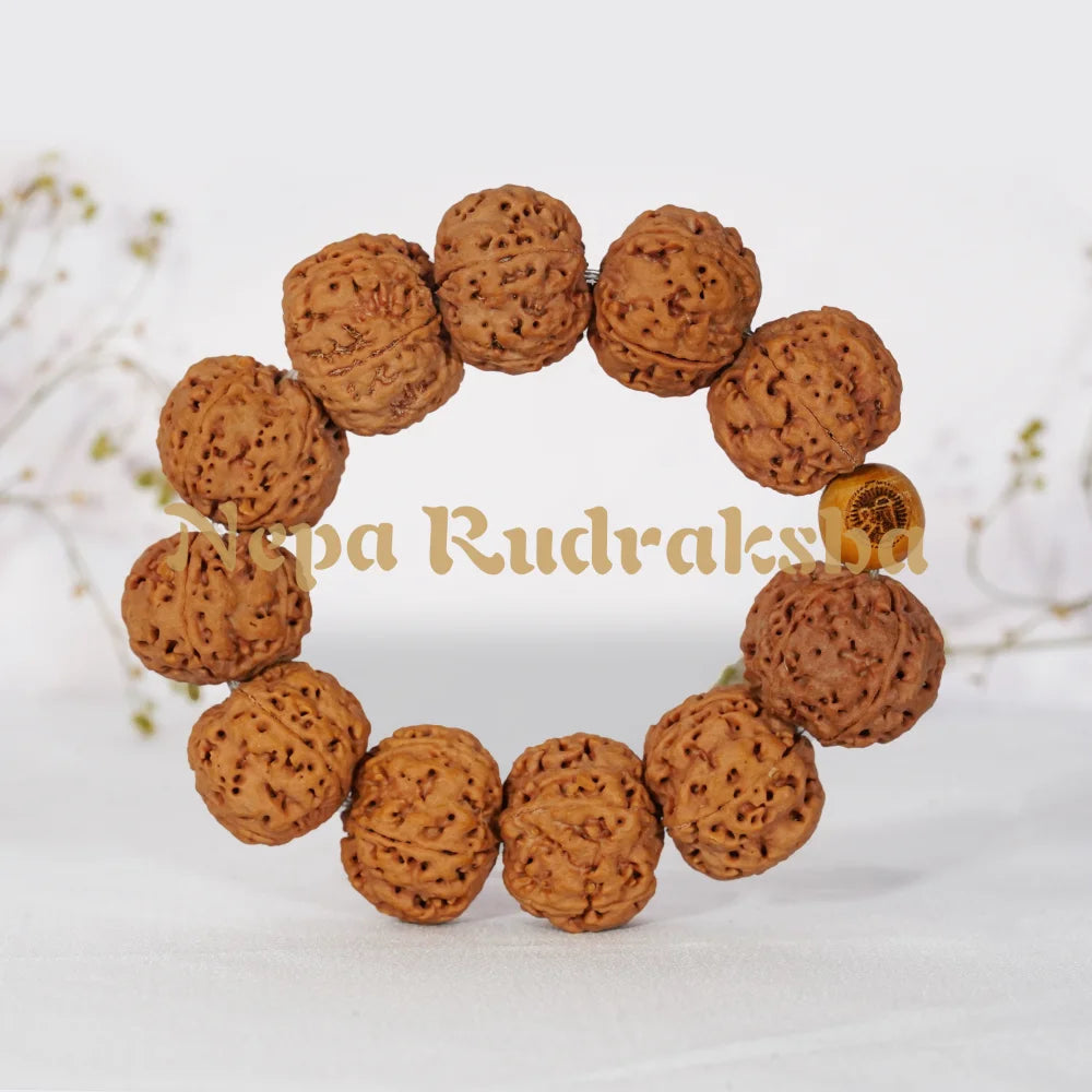 Rudraksha Bracelet