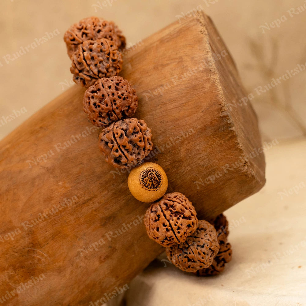 7 Mukhi Rudra Bracelet