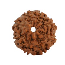 8 mukhi