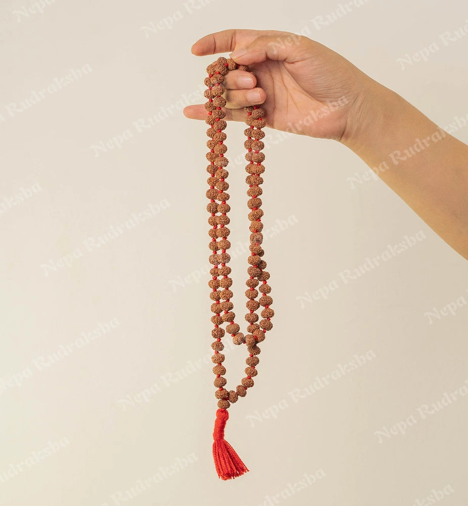 8 Mukhi Japa Mala (Indonesian)