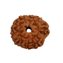 9 mukhi