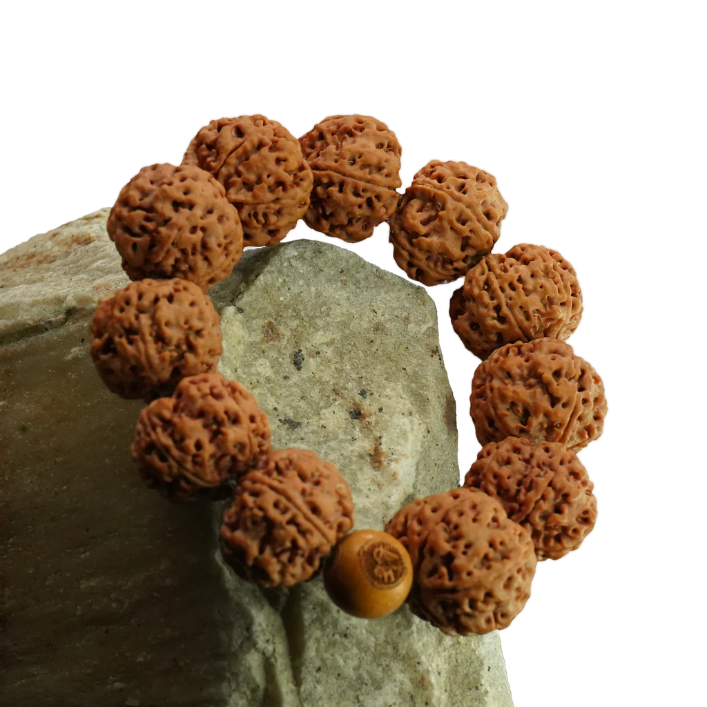 Rudra Bracelet & Transform Your Life with Rudraksha Book