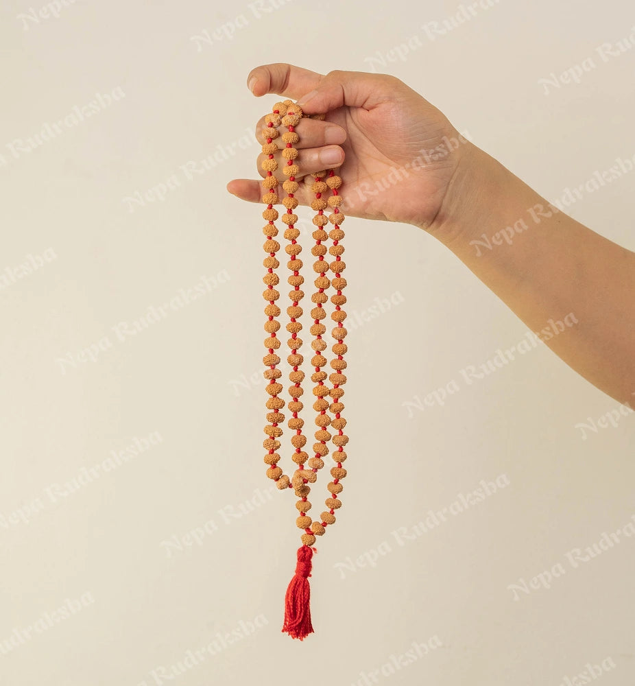 9 Mukhi Japa Mala (Indonesian)