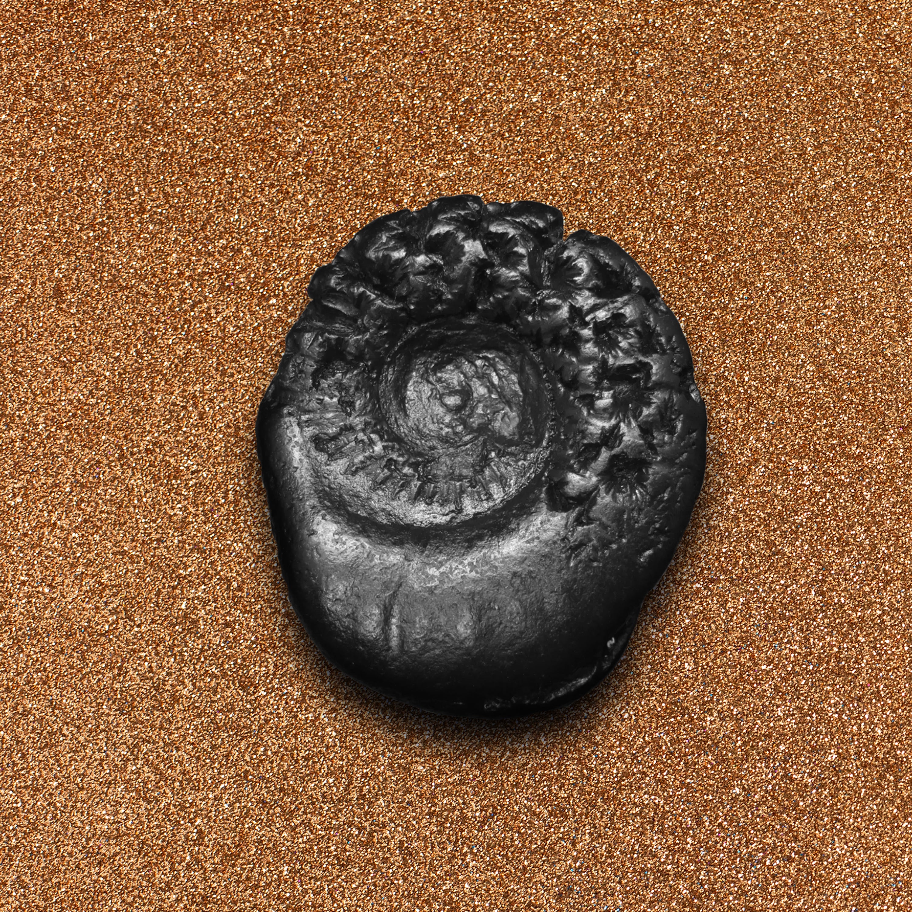 Shelligram Sea Shell Buy Original Shaligram from Nepal | Gandaki River Shaligram