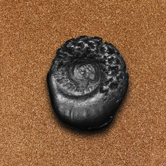 Ananta Shaligram