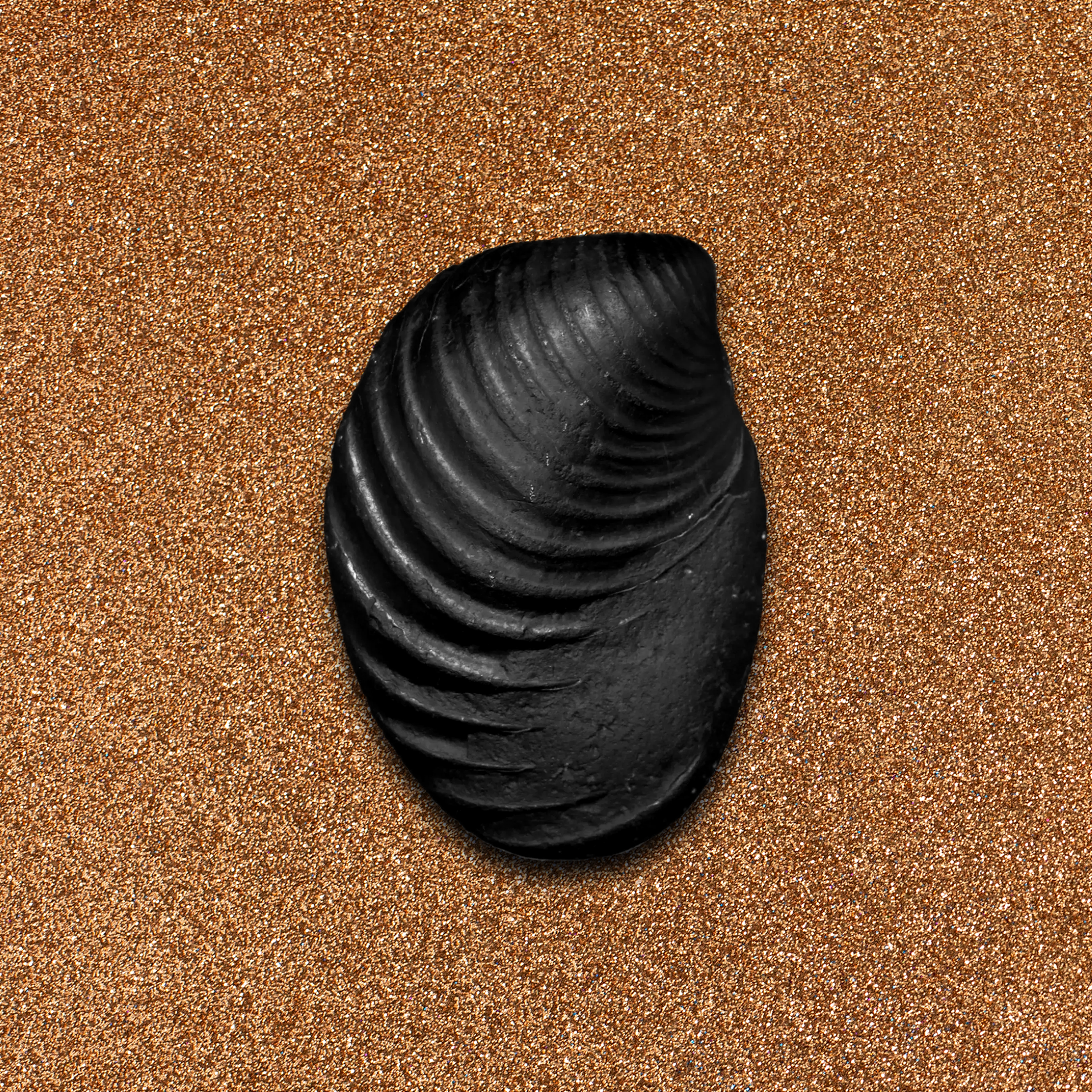 Shelligram Sea Shell Shaligram