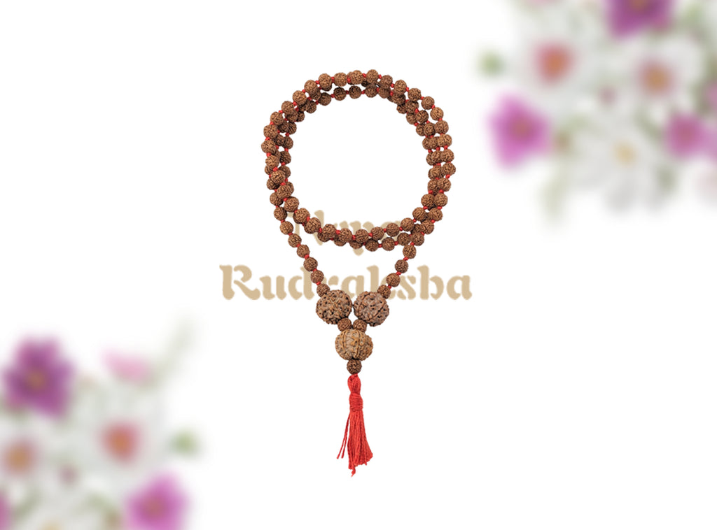 Rudra Sadhana Combination