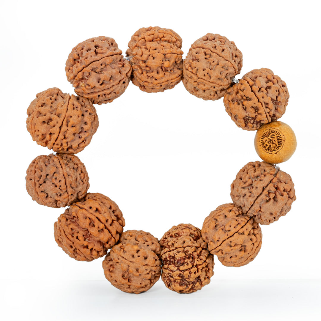 Collector (11 Beads) / Elastic Thread / Free Touch Energization