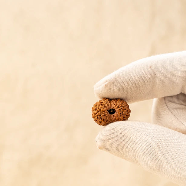 Natural Bead Structure