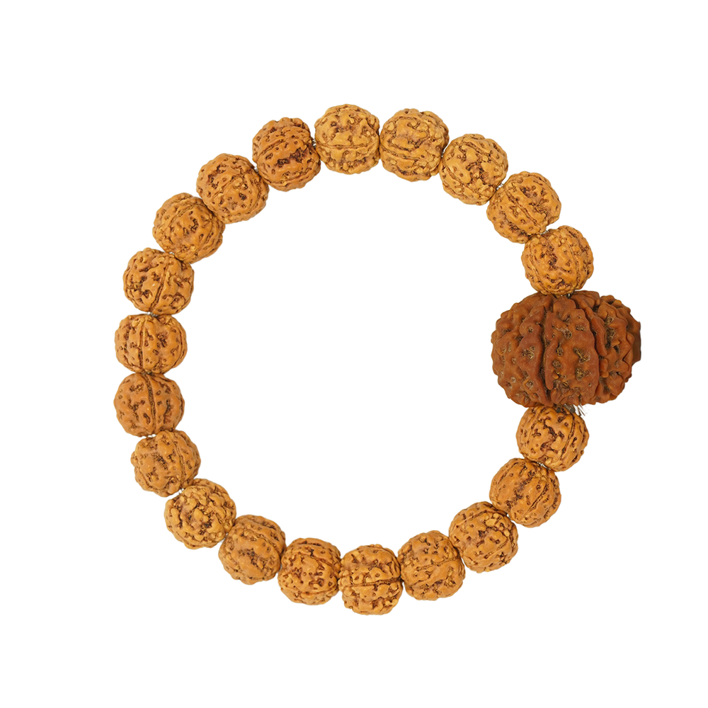 Asthamukhi (8 Mukhi) Bracelet