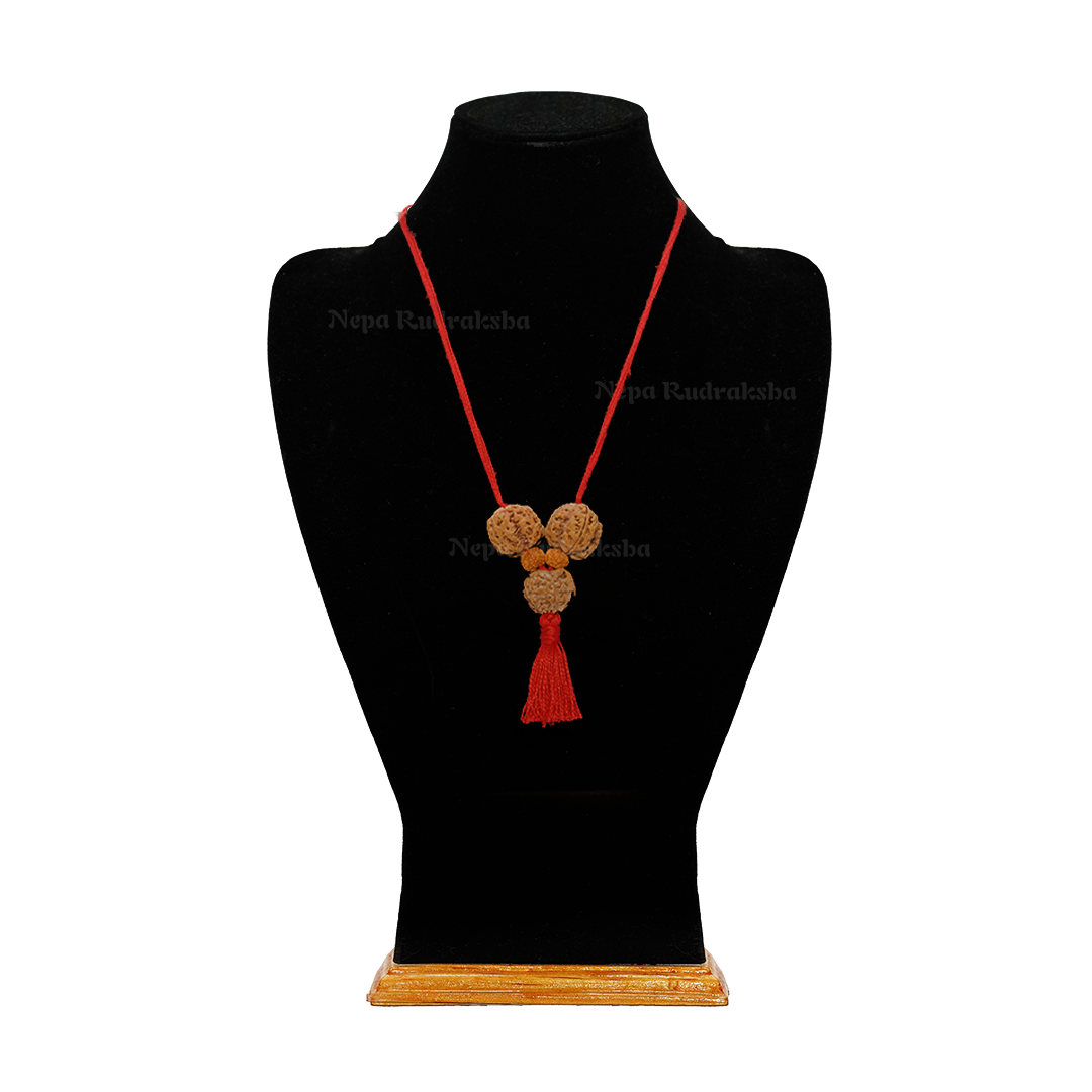 Regular / Red Thread / Free Touch Energization